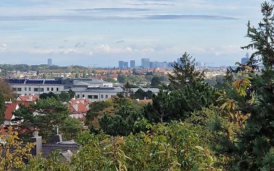 Doktor-Schober-Straße